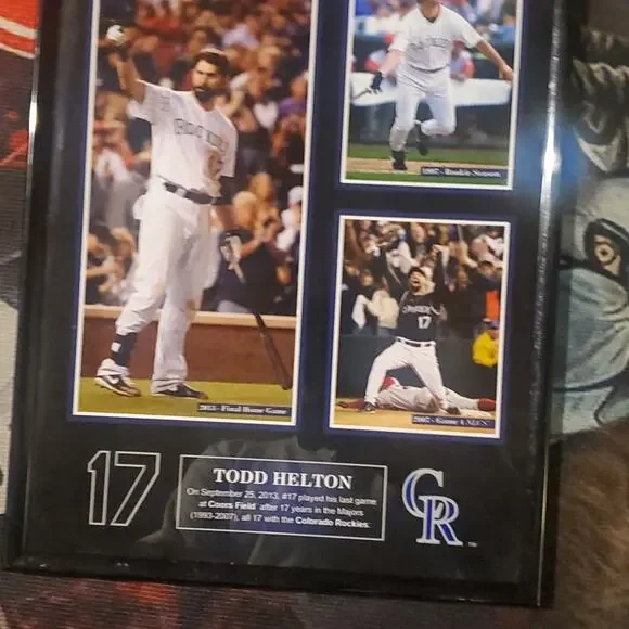 COLORADO ROCKIES LOT - Picture 4 of 11